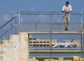 Goose at Malta Airport